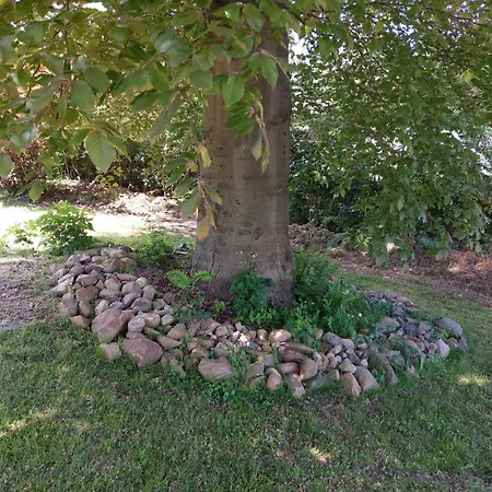 Oberschmiede Auf der Wiese