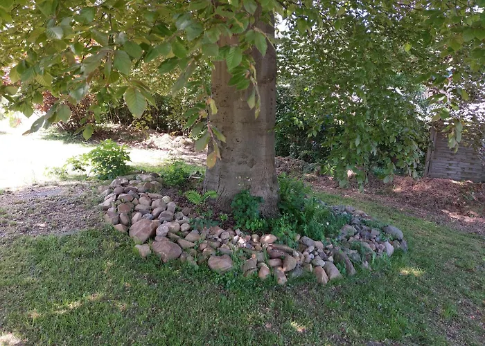 Oberschmiede Auf der Wiese